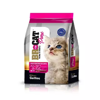 Br Gatitos